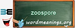 WordMeaning blackboard for zoospore